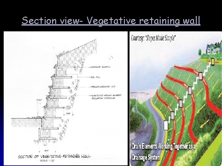 Section view- Vegetative retaining wall 