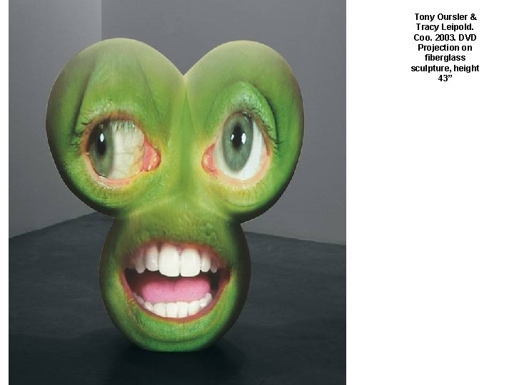 Tony Oursler & Tracy Leipold. Coo. 2003. DVD Projection on fiberglass sculpture, height 43”