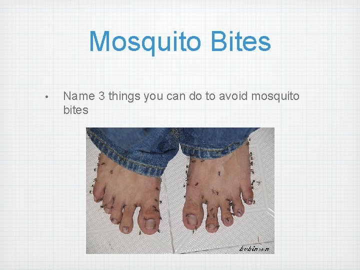 Mosquito Bites • Name 3 things you can do to avoid mosquito bites 