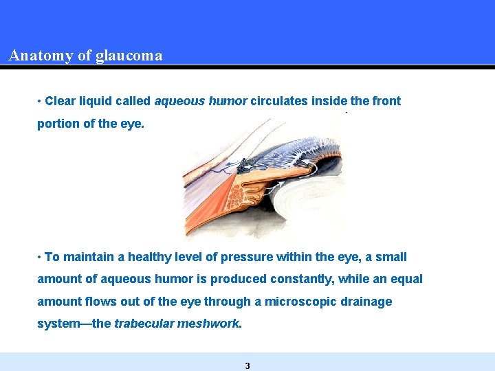 Anatomy of glaucoma • Clear liquid called aqueous humor circulates inside the front portion Anatomy of glaucoma • Clear liquid called aqueous humor circulates inside the front portion