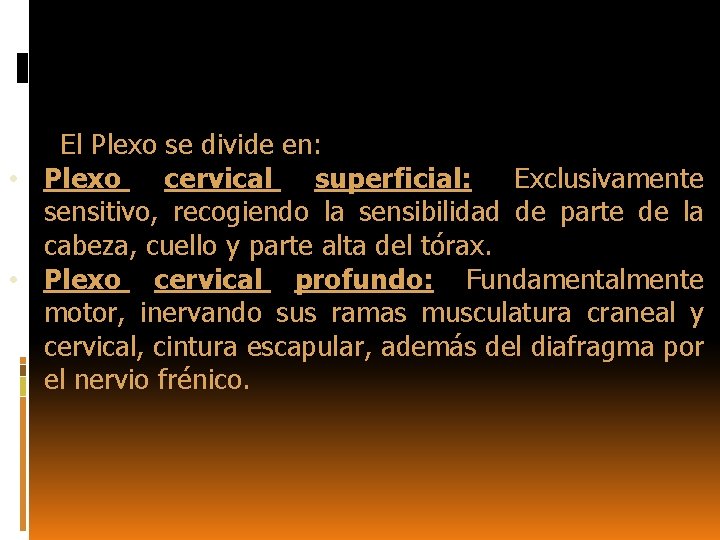  El Plexo se divide en: • Plexo cervical superficial: Exclusivamente sensitivo, recogiendo la