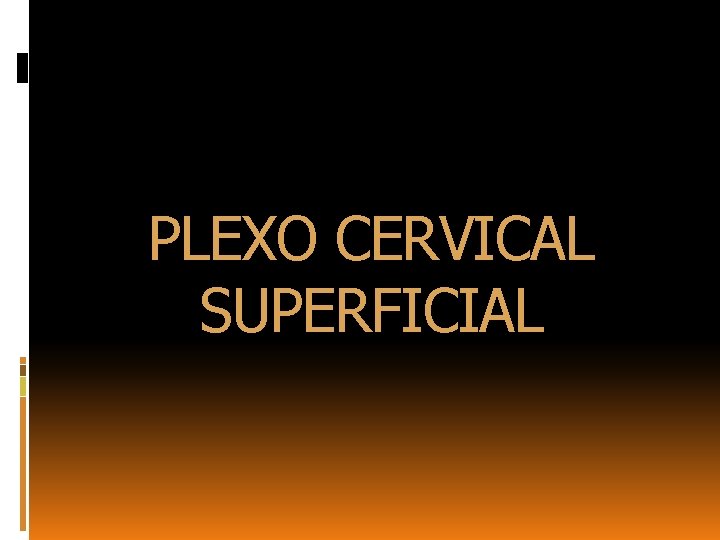 PLEXO CERVICAL SUPERFICIAL 