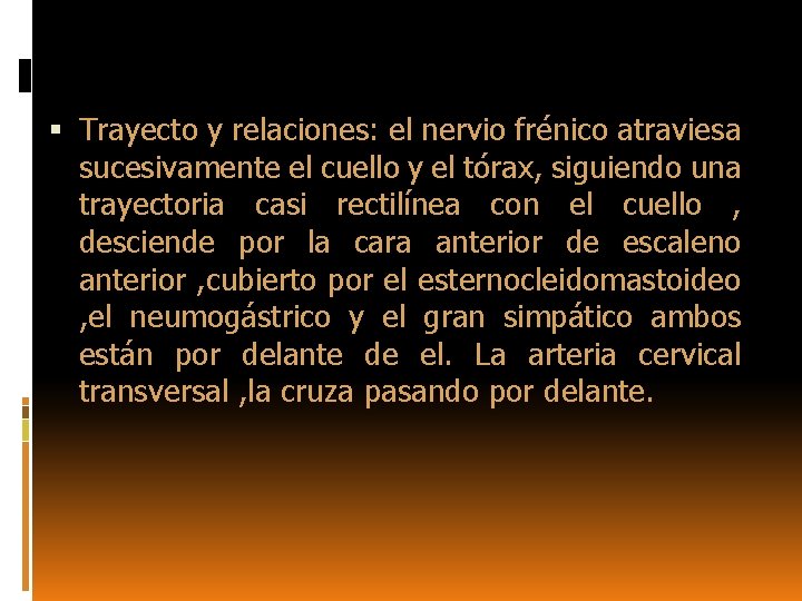  Trayecto y relaciones: el nervio frénico atraviesa sucesivamente el cuello y el tórax,