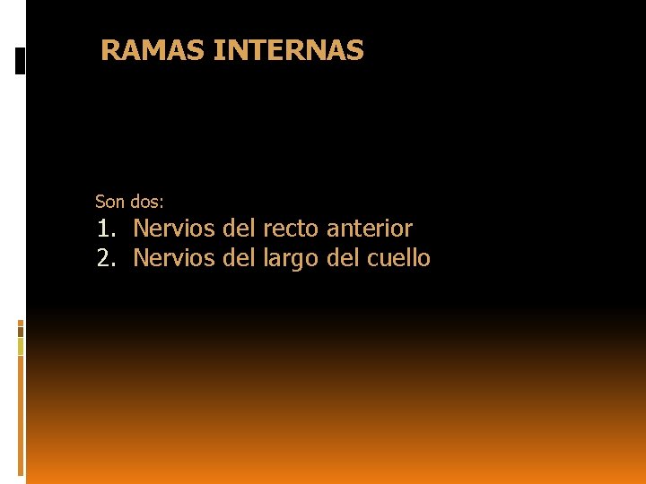 RAMAS INTERNAS Son dos: 1. Nervios del recto anterior 2. Nervios del largo del