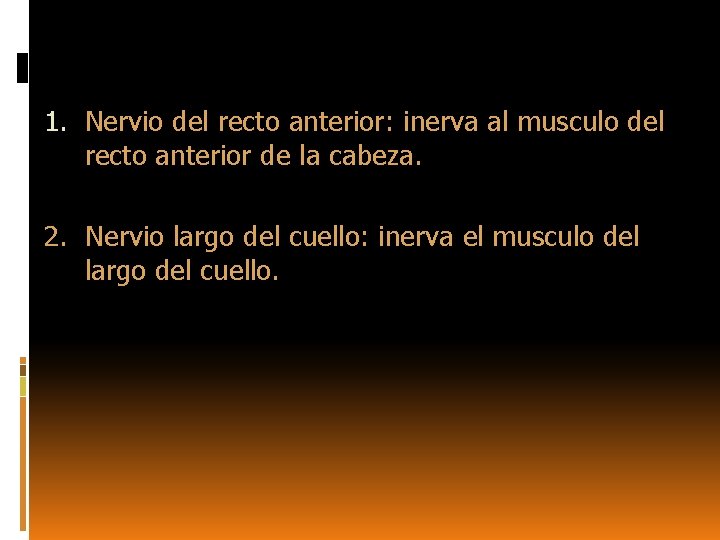 1. Nervio del recto anterior: inerva al musculo del recto anterior de la cabeza.