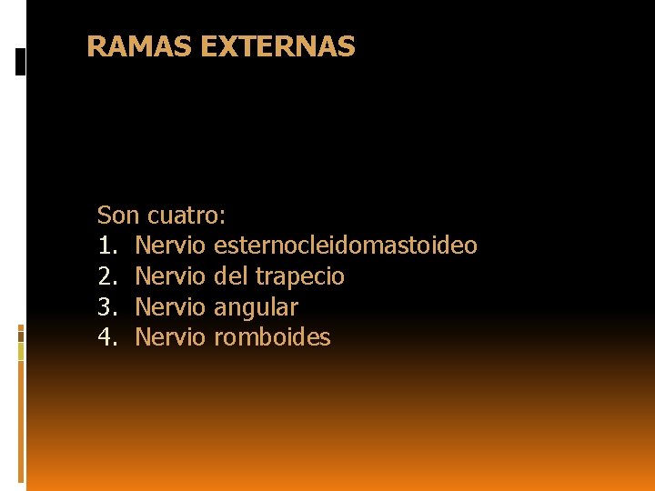 RAMAS EXTERNAS Son cuatro: 1. Nervio esternocleidomastoideo 2. Nervio del trapecio 3. Nervio angular