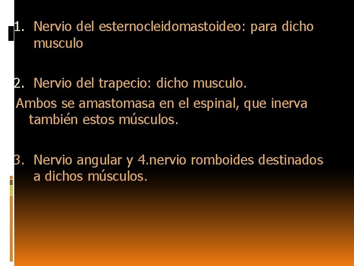 1. Nervio del esternocleidomastoideo: para dicho musculo 2. Nervio del trapecio: dicho musculo. Ambos