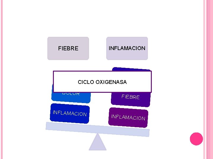 FIEBRE INFLAMACION DOLOR CICLO OXIGENASA DOLOR INFLAMACION FIEBRE INFLAMACION FIEBRE INFLAMACION DOLOR CICLO OXIGENASA DOLOR INFLAMACION FIEBRE INFLAMACION
