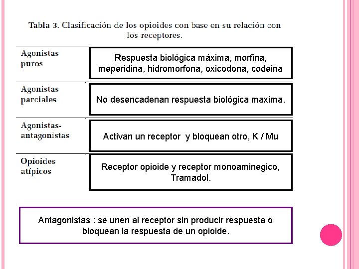Respuesta biológica máxima, morfina, meperidina, hidromorfona, oxicodona, codeina No desencadenan respuesta biológica maxima. Activan Respuesta biológica máxima, morfina, meperidina, hidromorfona, oxicodona, codeina No desencadenan respuesta biológica maxima. Activan