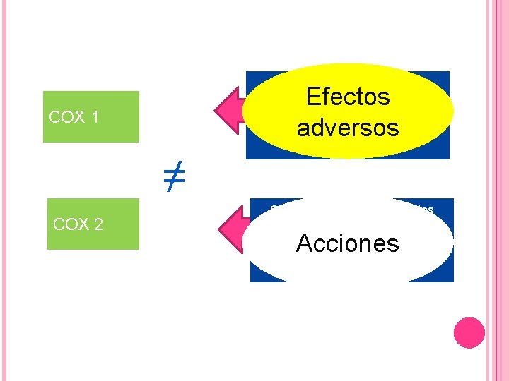 Efectos adversos Sintesis de PG / homeostasis CONSTITUTIVA En todos los tejidos Variable según Efectos adversos Sintesis de PG / homeostasis CONSTITUTIVA En todos los tejidos Variable según