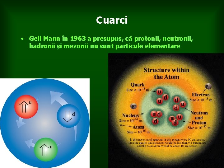 Cuarci • Gell Mann în 1963 a presupus, că protonii, neutronii, hadronii și mezonii