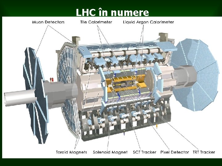 LHC în numere • • • • Circumferinţa 27 km În adâncime de 100