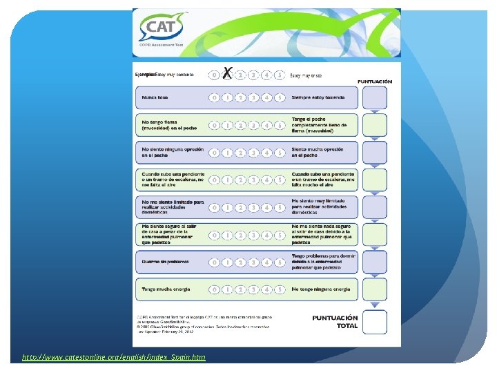 http: //www. catestonline. org/english/index_Spain. htm 