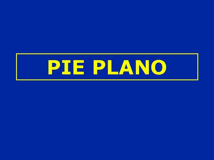 PIE PLANO 