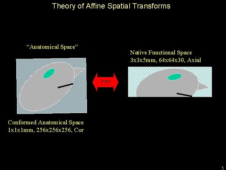 Theory of Affine Spatial Transforms “Anatomical Space” Native Functional Space 3 x 3 x