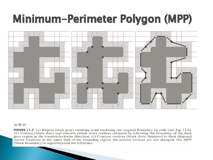 Minimum-Perimeter Polygon (MPP) 