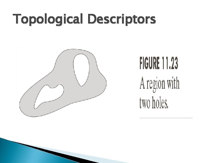 Topological Descriptors 