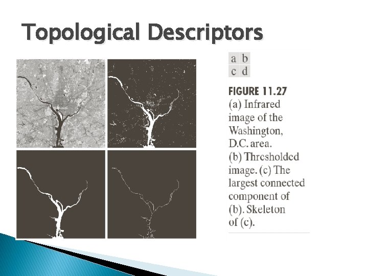 Topological Descriptors 