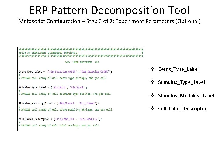 ERP Pattern Decomposition Tool Metascript Configuration – Step 3 of 7: Experiment Parameters (Optional)