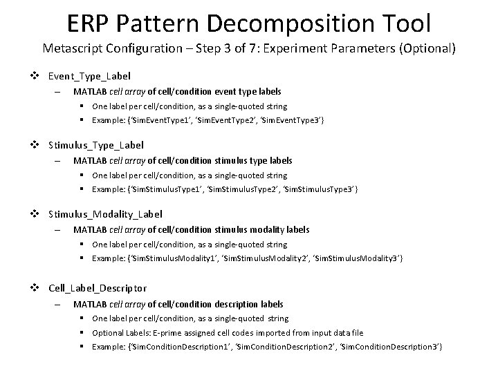 ERP Pattern Decomposition Tool Metascript Configuration – Step 3 of 7: Experiment Parameters (Optional)