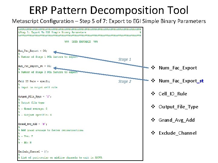 ERP Pattern Decomposition Tool Metascript Configuration – Step 5 of 7: Export to EGI