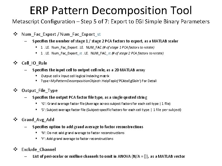 ERP Pattern Decomposition Tool Metascript Configuration – Step 5 of 7: Export to EGI