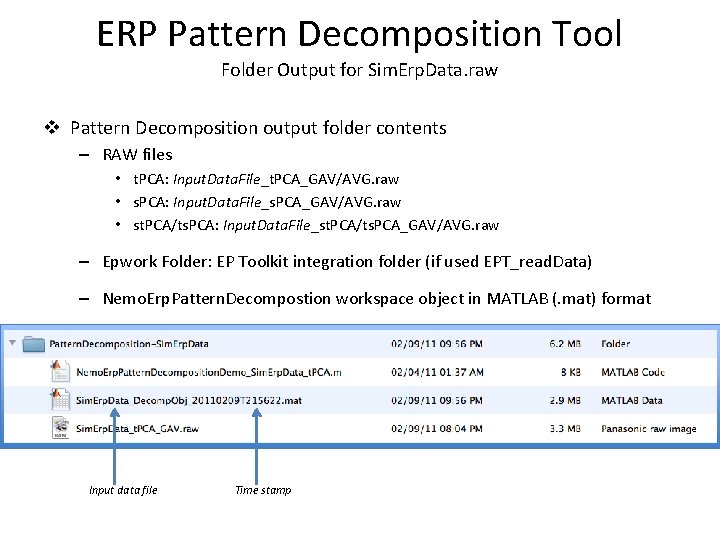 ERP Pattern Decomposition Tool Folder Output for Sim. Erp. Data. raw v Pattern Decomposition