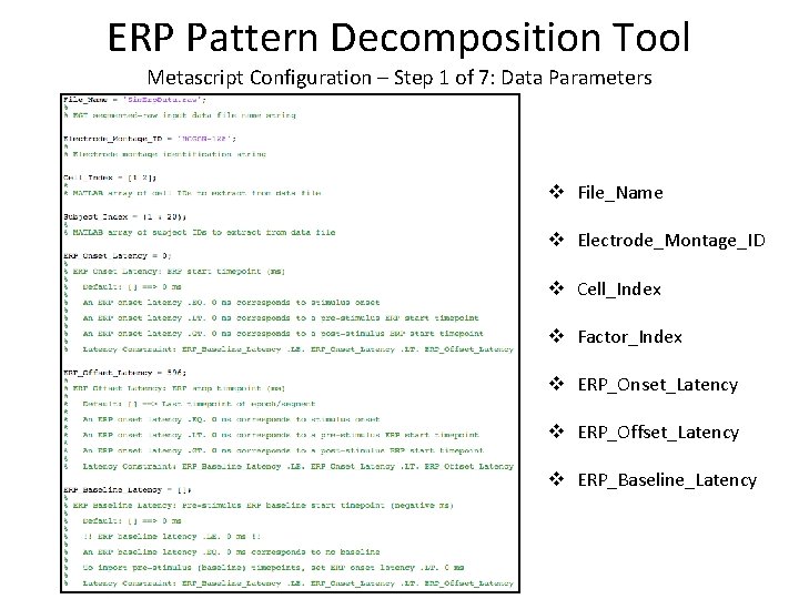 ERP Pattern Decomposition Tool Metascript Configuration – Step 1 of 7: Data Parameters v