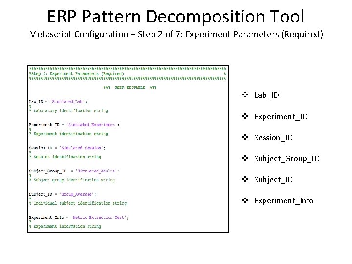 ERP Pattern Decomposition Tool Metascript Configuration – Step 2 of 7: Experiment Parameters (Required)