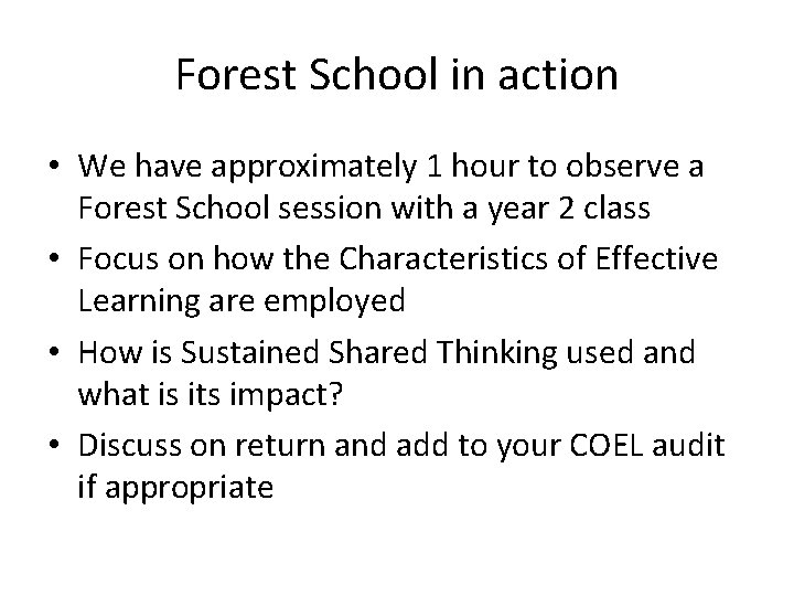 Forest School in action • We have approximately 1 hour to observe a Forest