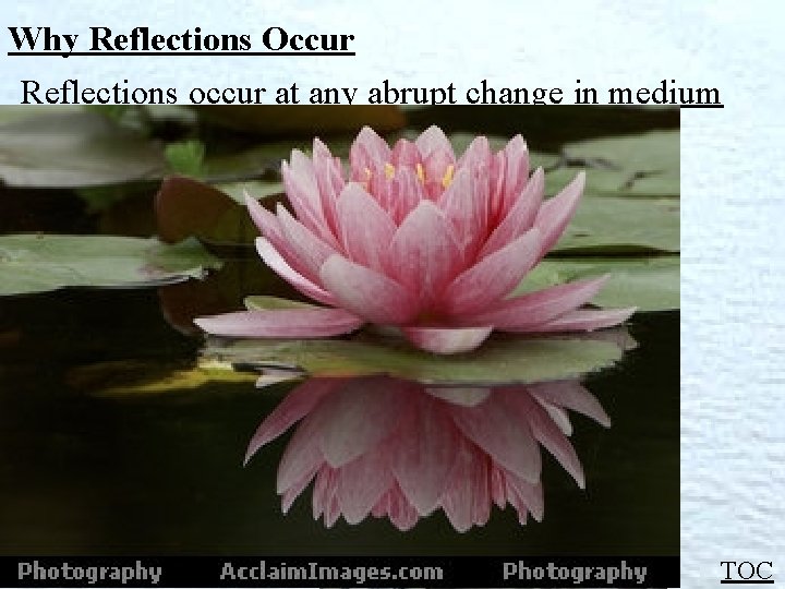 Why Reflections Occur Reflections occur at any abrupt change in medium Light Reflecting TOC