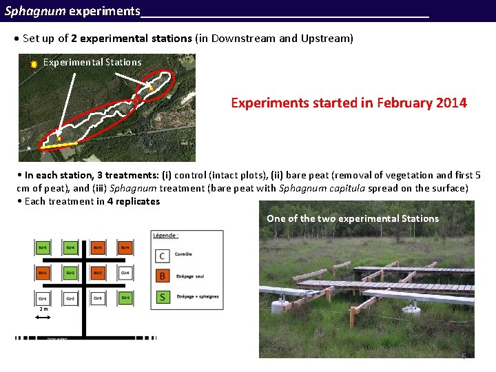 Sphagnum experiments_____________________ • Set up of 2 experimental stations (in Downstream and Upstream) Experimental