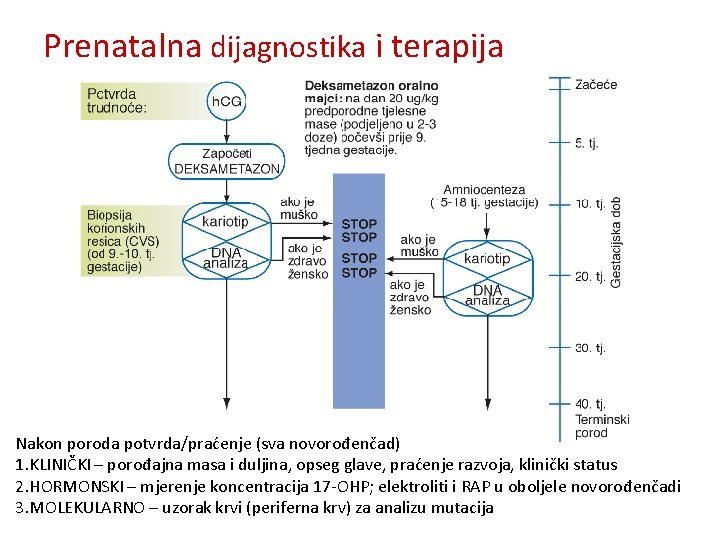 Prenatalna dijagnostika i terapija Nakon poroda potvrda/praćenje (sva novorođenčad) 1. KLINIČKI – porođajna masa