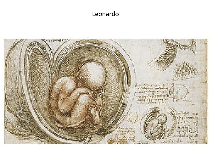 Leonardo Leonardo