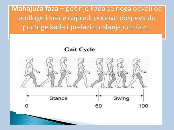 Mahajuća faza – počinje kada se noga odvoji od podloge i kreće napred, ponovo