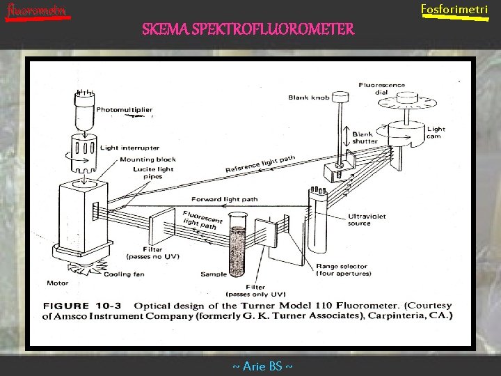 Fosforimetri fluorometri SKEMA SPEKTROFLUOROMETER ~ Arie BS ~ 