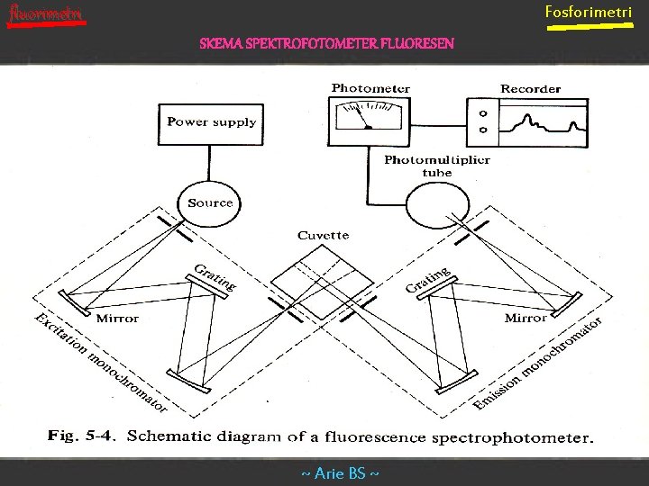 Fosforimetri fluorimetri SKEMA SPEKTROFOTOMETER FLUORESEN ~ Arie BS ~ 