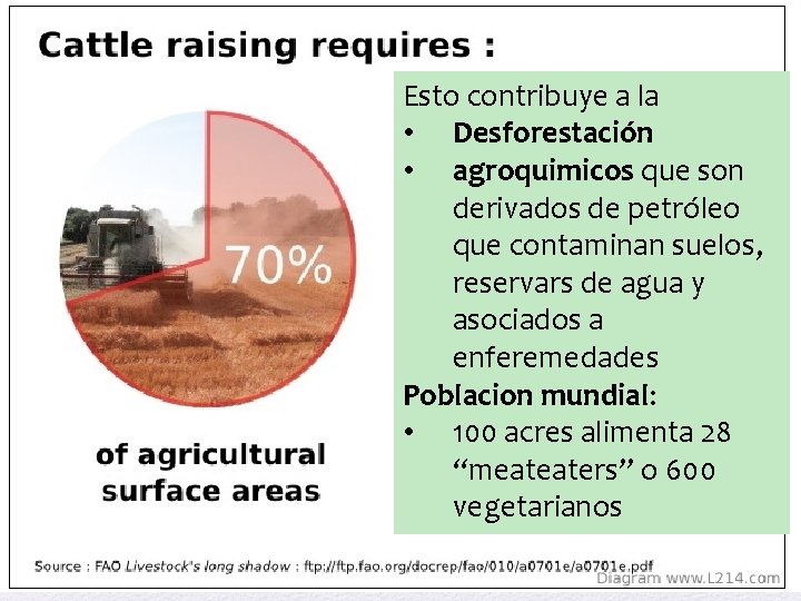 Esto contribuye a la • Desforestación • agroquimicos que son derivados de petróleo que