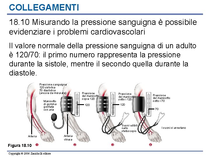 COLLEGAMENTI 18. 10 Misurando la pressione sanguigna è possibile evidenziare i problemi cardiovascolari Il