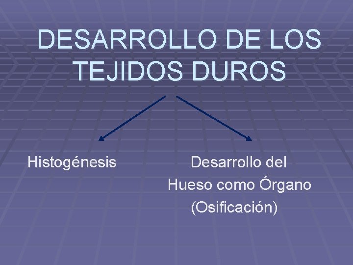 DESARROLLO DE LOS TEJIDOS DUROS Histogénesis Desarrollo del Hueso como Órgano (Osificación) 