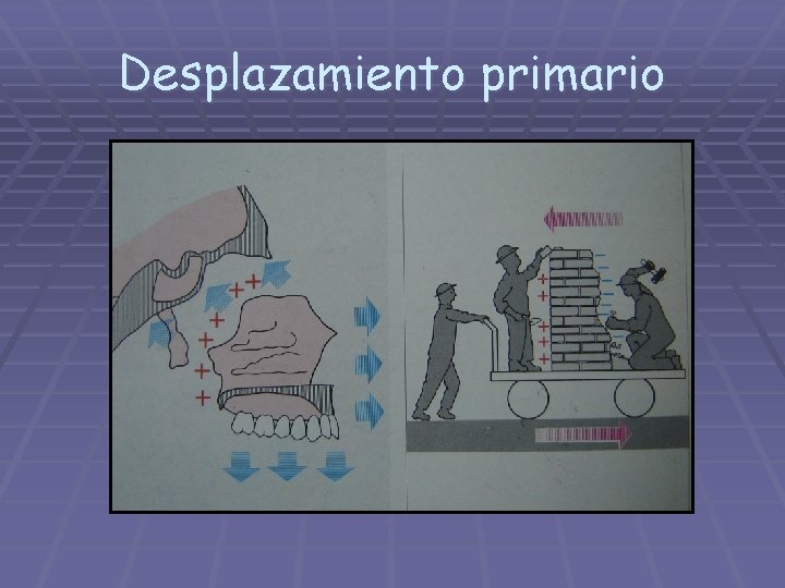 Desplazamiento primario 