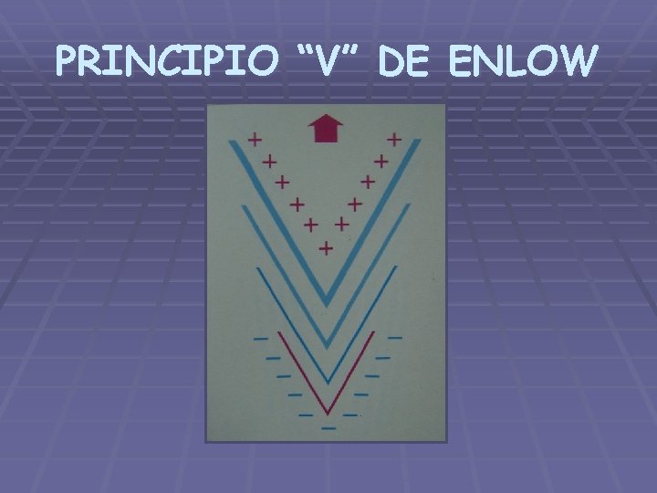 PRINCIPIO “V” DE ENLOW 