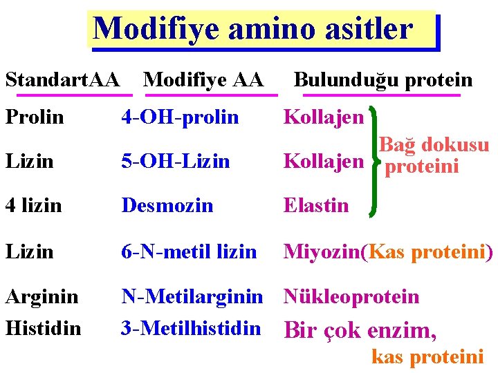 Modifiye amino asitler Standart. AA Modifiye AA Prolin Bulunduğu protein 4 -OH-prolin Kollajen Lizin