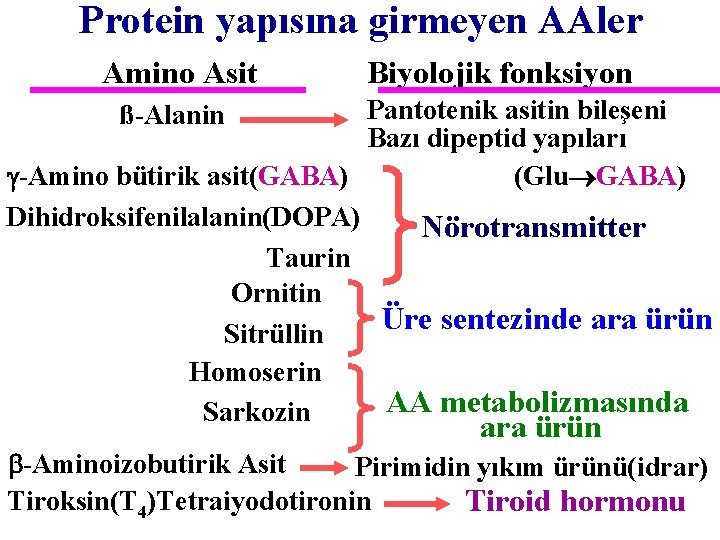 Protein yapısına girmeyen AAler Amino Asit Biyolojik fonksiyon Pantotenik asitin bileşeni Bazı dipeptid yapıları