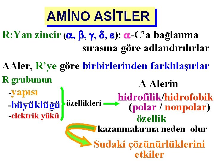 AMİNO ASİTLER R: Yan zincir ( , , ): -C’a bağlanma sırasına göre adlandırılırlar