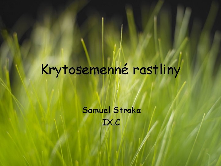 Krytosemenné rastliny Samuel Straka IX. C 