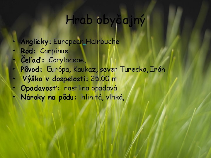 Hrab obyčajný • • Anglicky: European Hainbuche Rod: Carpinus Čeľaď: Corylaceae, Pôvod: Európa, Kaukaz,