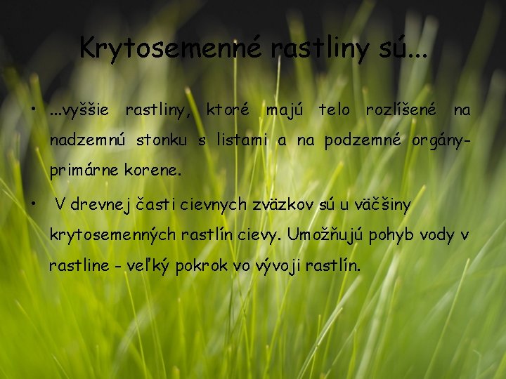 Krytosemenné rastliny sú. . . • . . . vyššie rastliny, ktoré majú telo