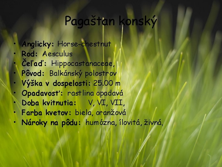 Pagaštan konský • • • Anglicky: Horse-chestnut Rod: Aesculus Čeľaď: Hippocastanaceae, Pôvod: Balkánský polostrov