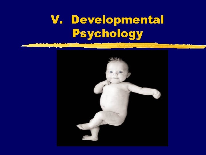 V. Developmental Psychology 